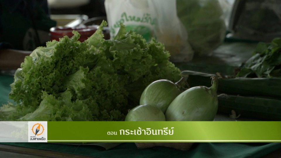 กระเช้าอินทรีย์​