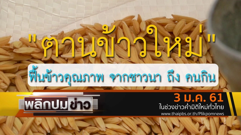 ตานข้าวใหม่ ฟื้นข้าวคุณภาพจากชาวนาถึงคนกิน