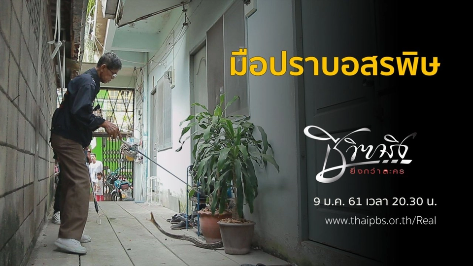 มือปราบอสรพิษ