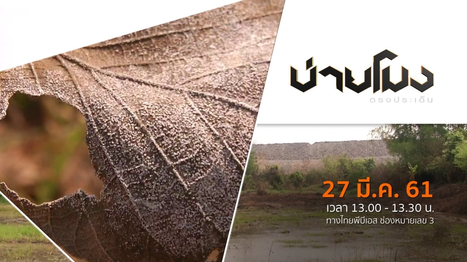 ประเด็นข่าว ( 27 มี.ค. 61)