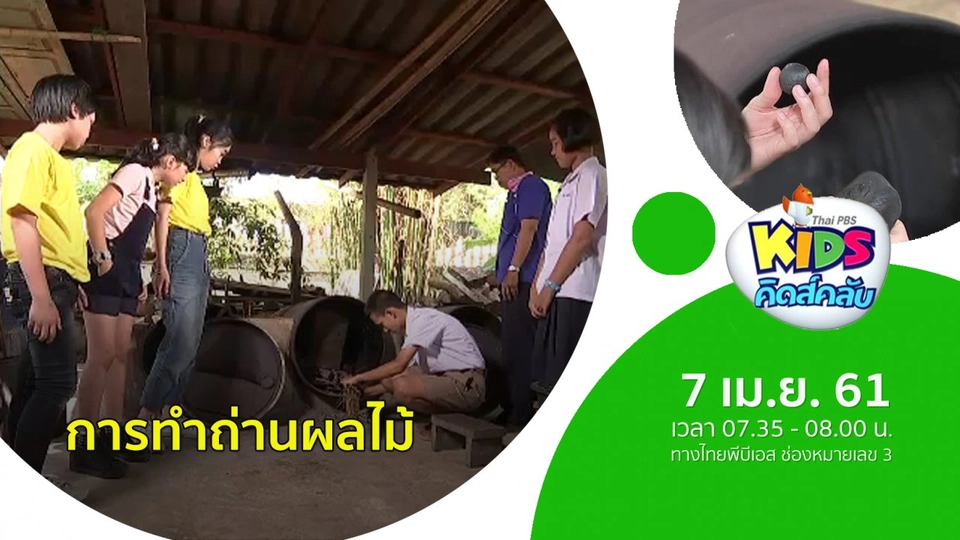 ถ่านผลไม้