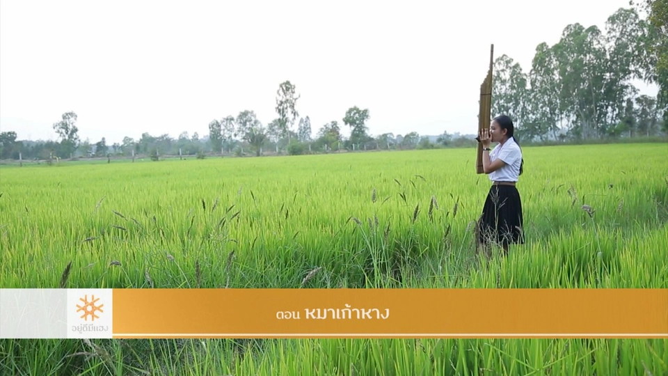 หมาเก้าหาง​​