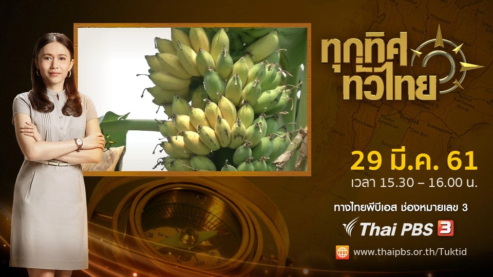 ประเด็นข่าว ( 29 มี.ค. 61)