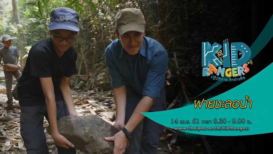 ฝายชะลอน้ำ