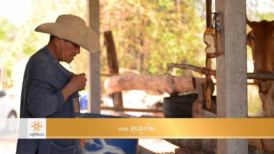 สุขสูงวัย