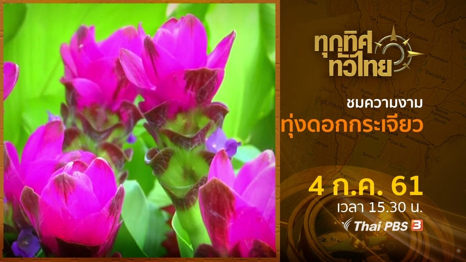 ประเด็นข่าว ( 4 ก.ค. 61)