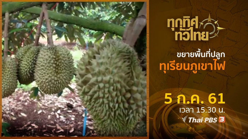 ประเด็นข่าว ( 5 ก.ค. 61)