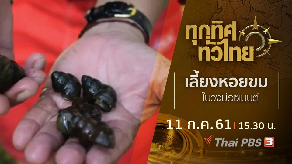 ประเด็นข่าว ( 11 ก.ค. 61)