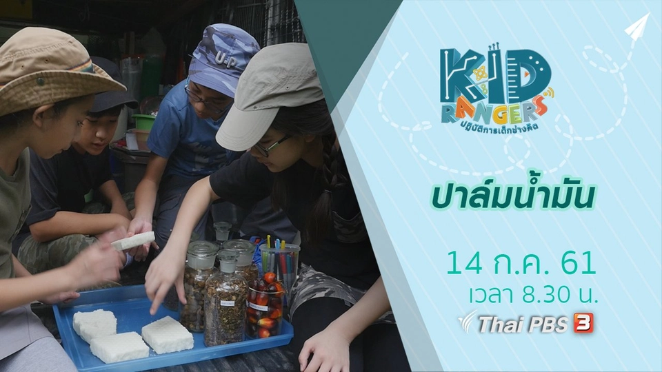 ปาล์มน้ำมัน