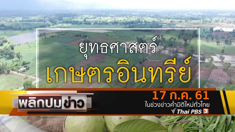 ยุทธศาสตร์เกษตรอินทรีย์