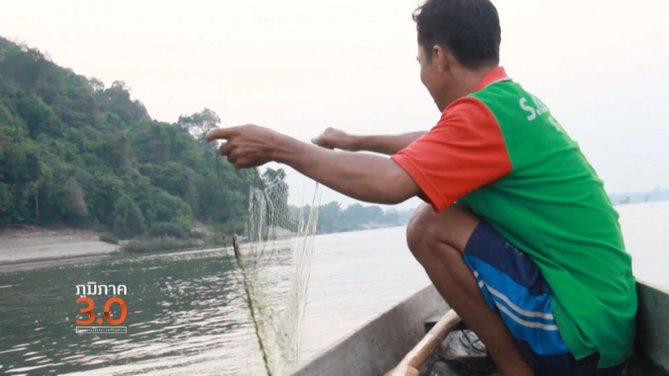 ครูอาสามาเกาะช้าง/ พรานปลาตามุยลุยจำปาสัก/ ไร่ส้มศึกษา