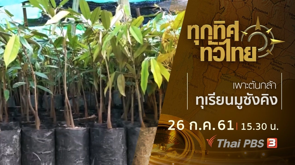 ประเด็นข่าว ( 26 ก.ค. 61)