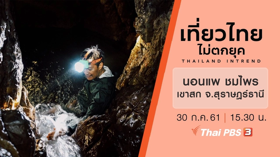 นอนแพ ชมไพร..ที่เขาสก จังหวัดสุราษฎร์ธานี