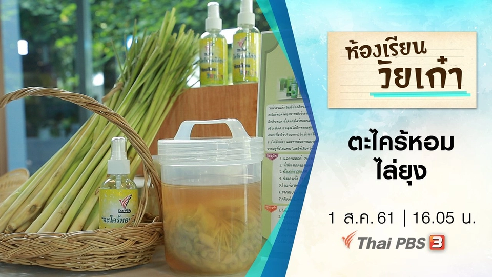 ตะไคร้หอมไล่ยุง