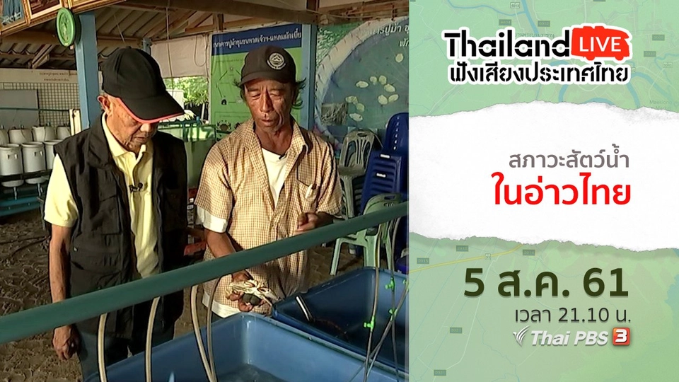สภาวะสัตว์น้ำในอ่าวไทย