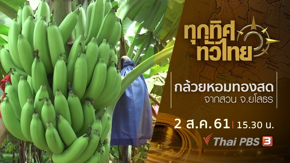 ประเด็นข่าว ( 2 ส.ค. 61)