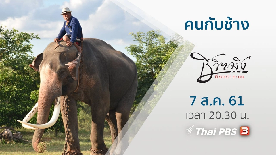 คนกับช้าง