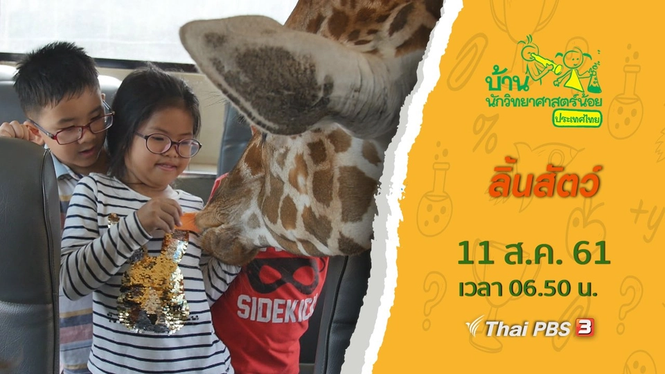 ลิ้นสัตว์