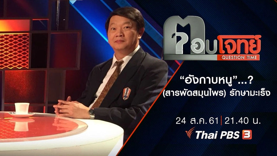 ​“อังกาบหนู” ...? (สารพัดสมุนไพร) รักษามะเร็ง