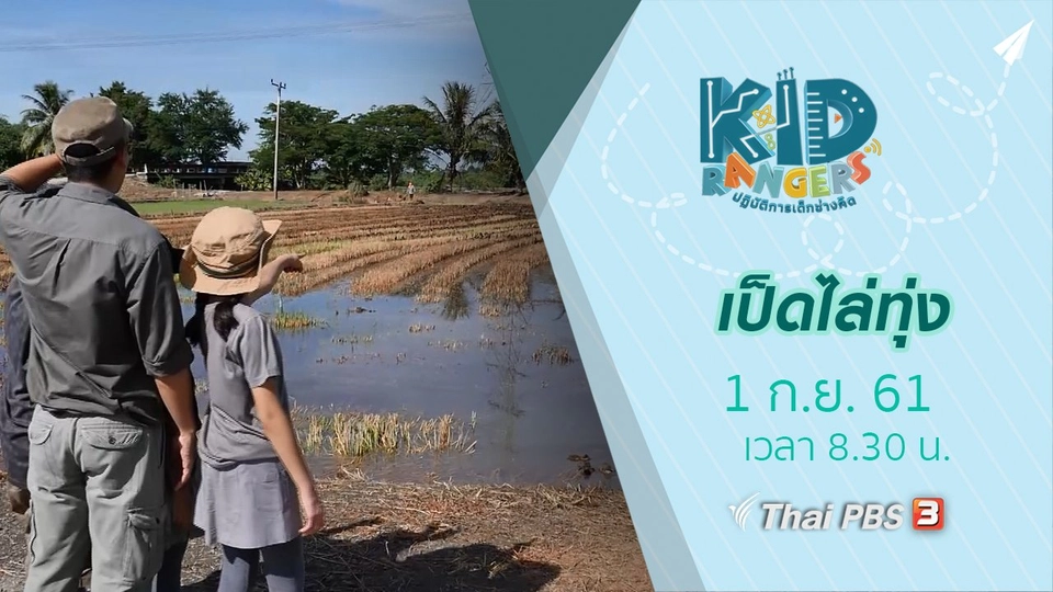 เป็ดไล่ทุ่ง