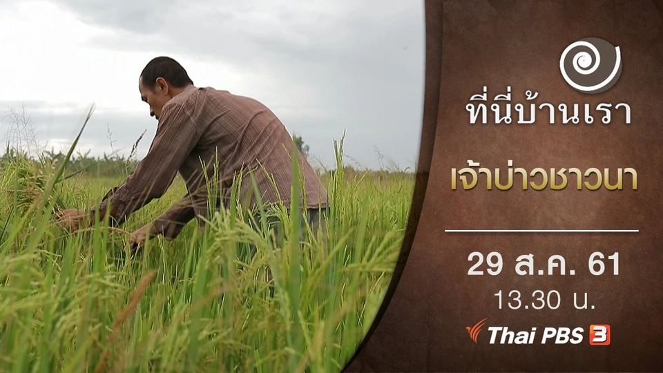 เจ้าบ่าวชาวนา