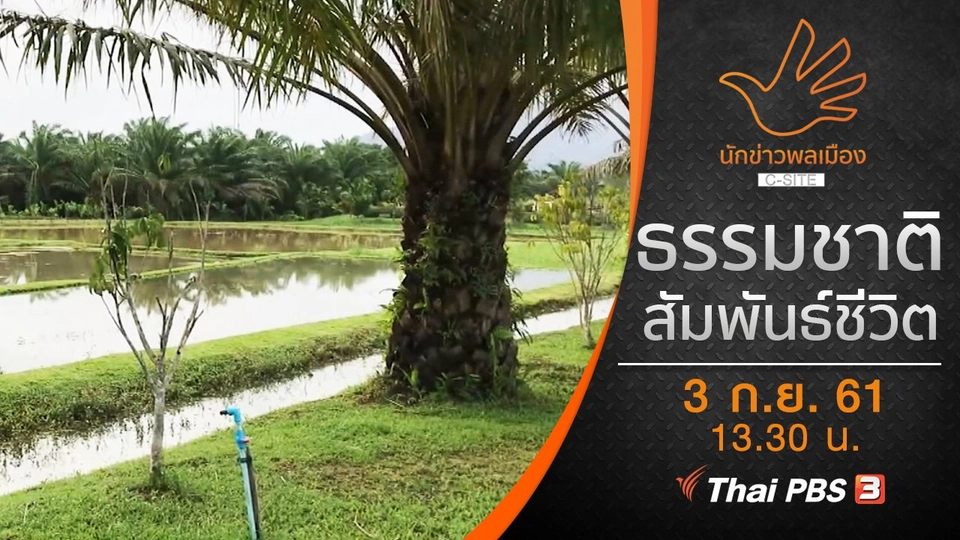 ธรรมชาติสัมพันธ์ชีวิต