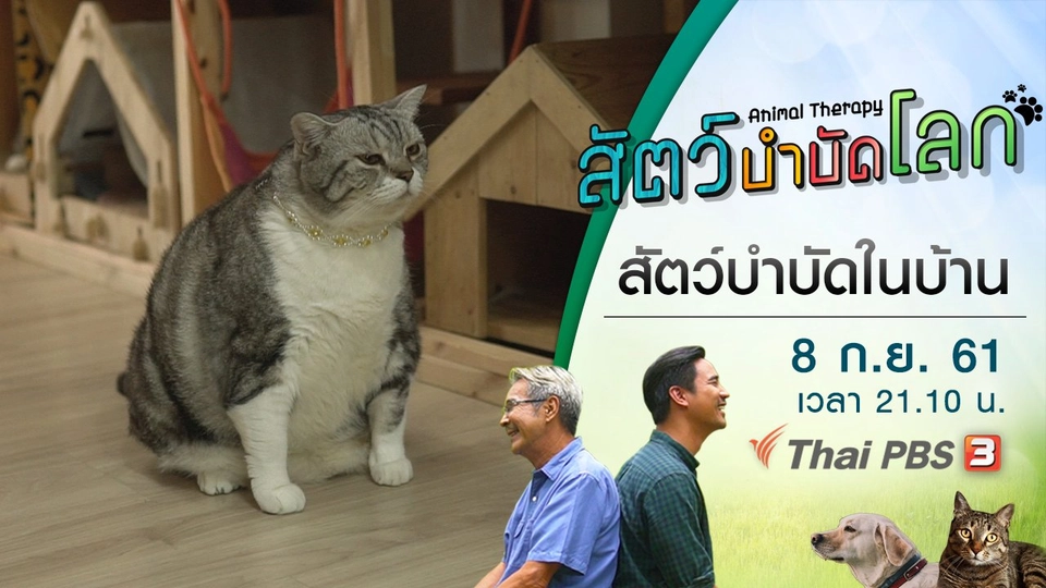 สัตว์บำบัดในบ้าน