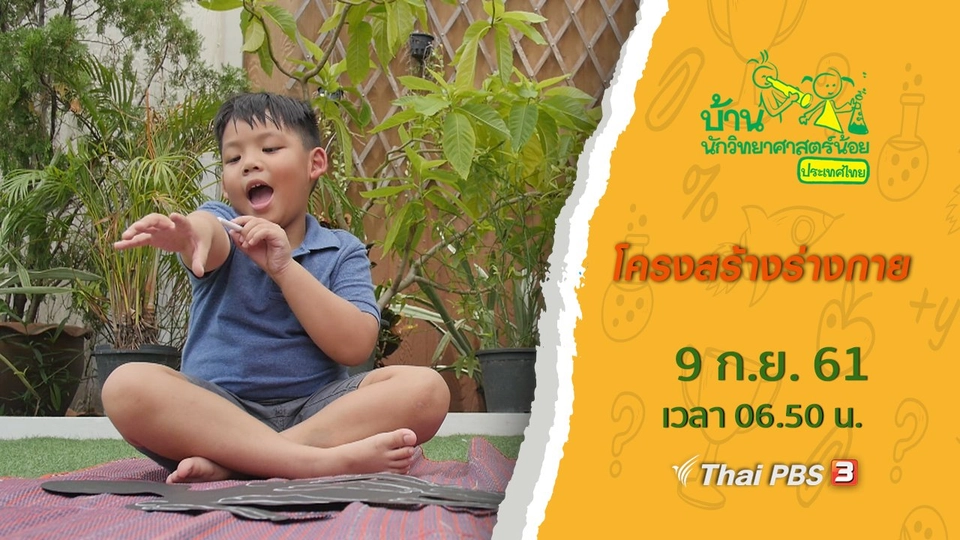 โครงสร้างร่างกาย