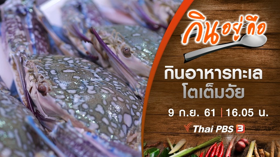 กินอาหารทะเลโตเต็มวัย