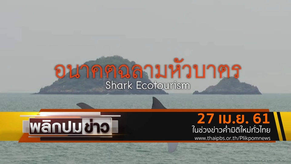 อนาคตฉลามหัวบาตร