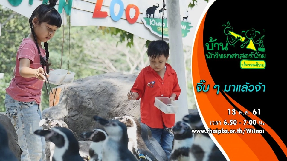 จิ๊บ ๆ มาแล้วจ้า