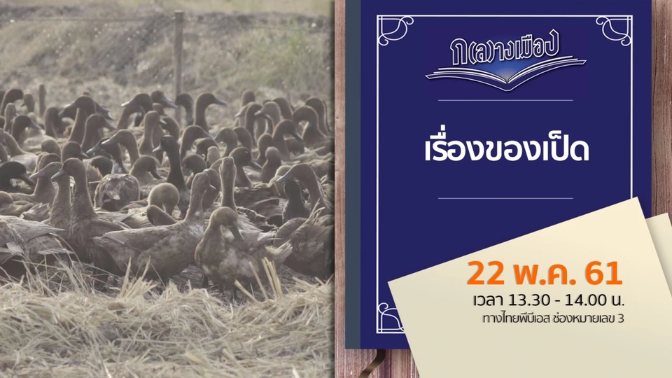 เรื่องของเป็ด