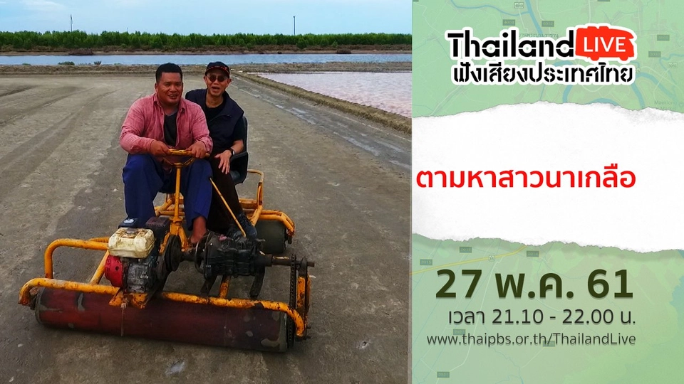 ตามหาสาวนาเกลือ