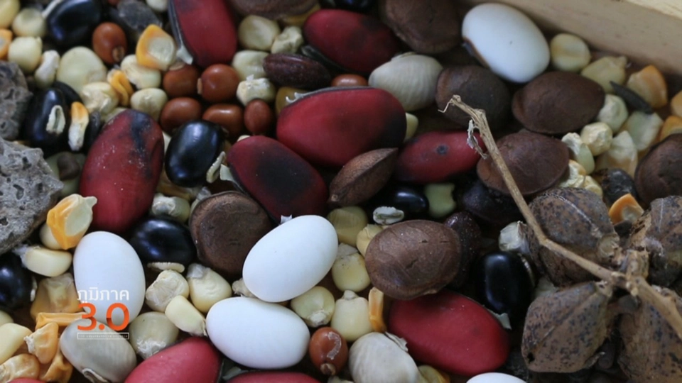 เมล็ดพันธุ์หัวใจเกษตร, การเดินทางของเมล็ดพันธุ์, ฉันรักป่าบ้านหัวบึง