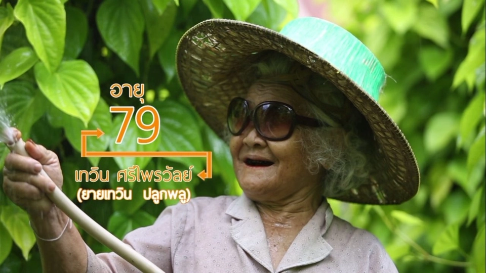 คุณยายขายพลู SME วัยเกษียณ/ ศูนย์ 9 ดี มีดีที่สูงวัย