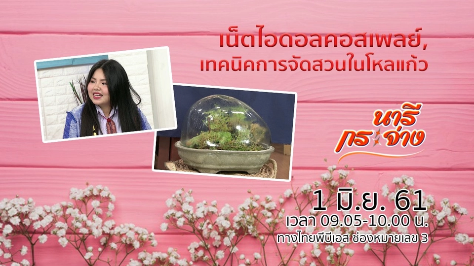 น้องทราย เน็ตไอดอลคอสเพลย์, เทคนิคการจัดสวนในโหลแก้ว