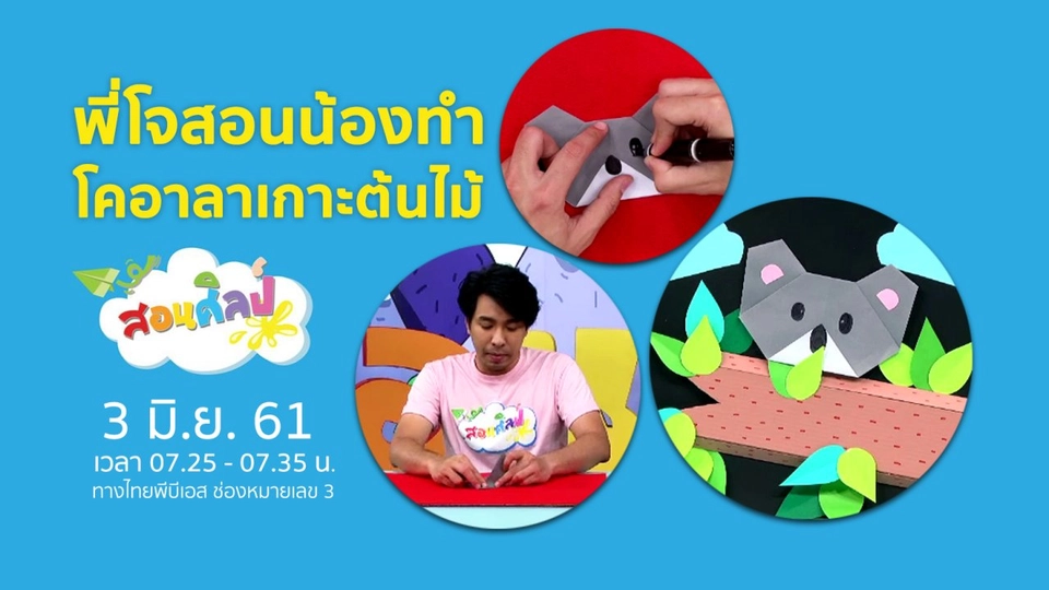 โคอาลาเกาะต้นไม้