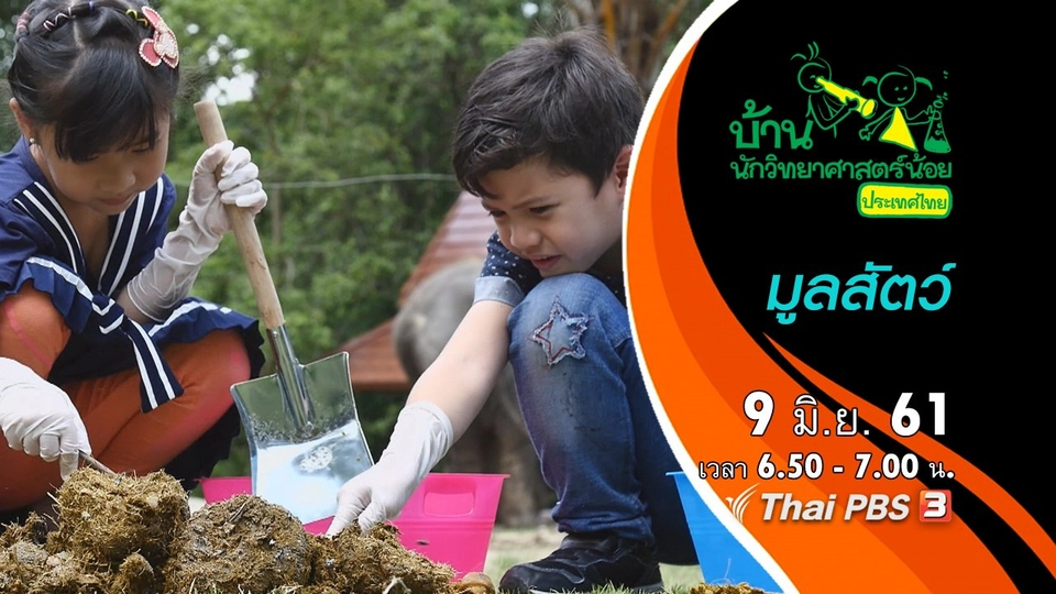 มูลสัตว์