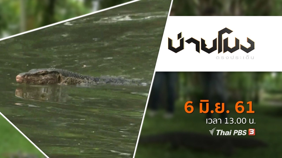 ประเด็นข่าว ( 6 มิ.ย. 61)