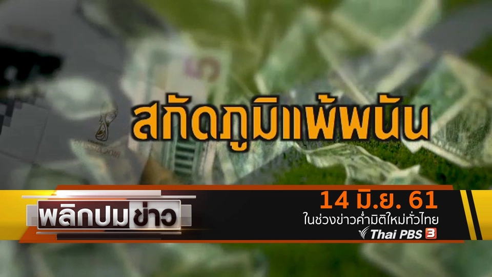 สกัดภูมิแพ้พนัน