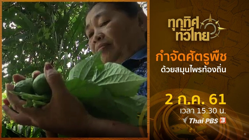 ประเด็นข่าว ( 2 ก.ค. 61)