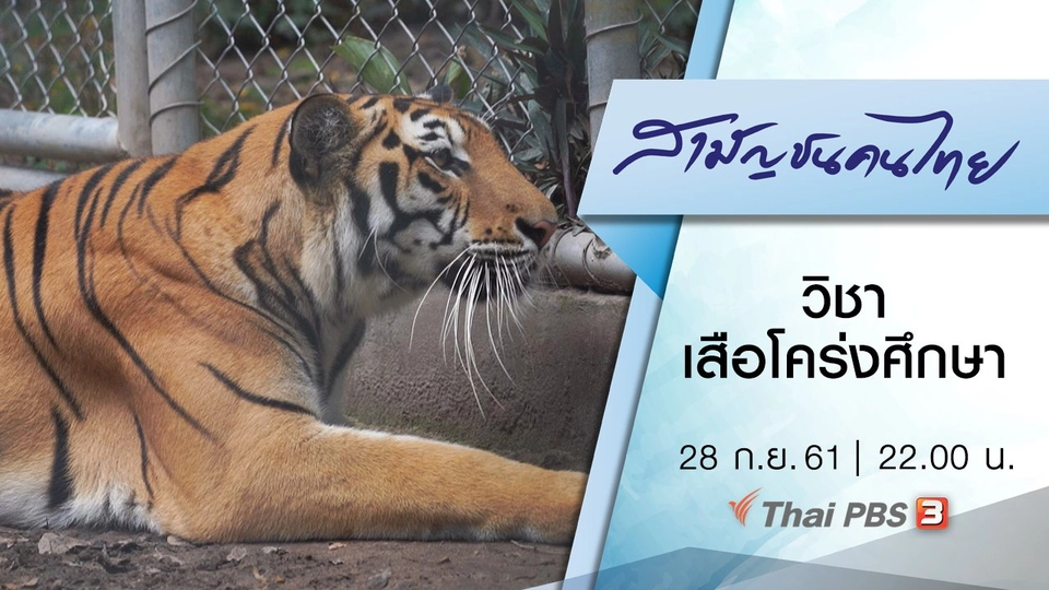 วิชาเสือโคร่งศึกษา