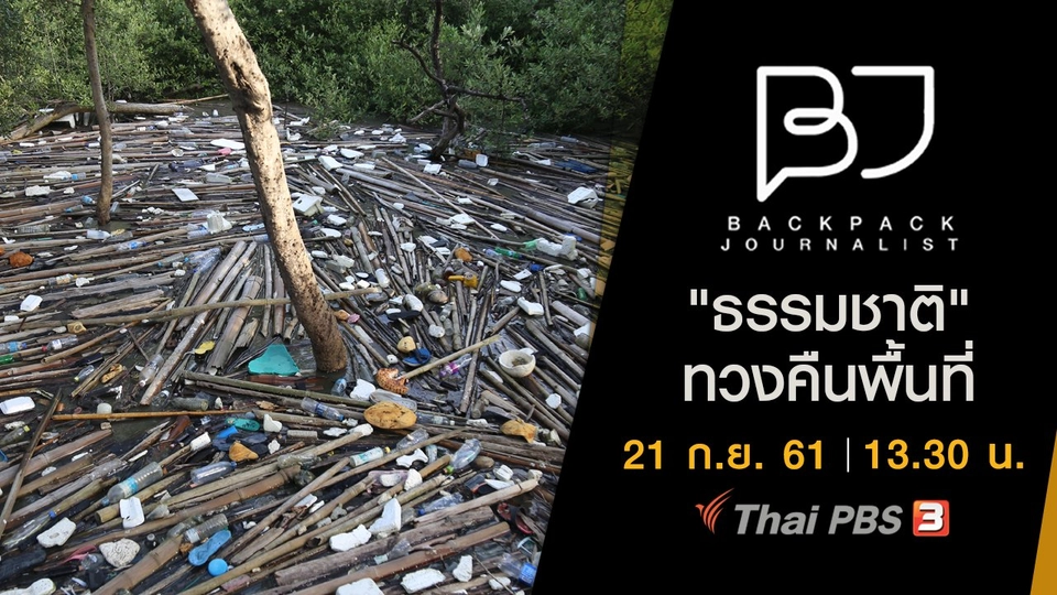 "ธรรมชาติ" ทวงคืนพื้นที่