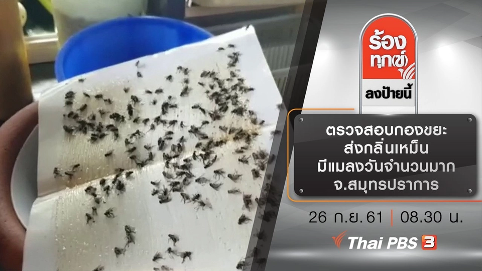 ตรวจสอบกองขยะ ส่งกลิ่นเหม็น มีแมลงวันจำนวนมาก จ.สมุทรปราการ