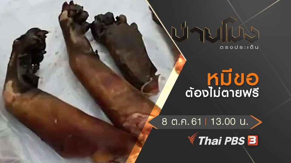 ประเด็นข่าว ( 8 ต.ค. 61)