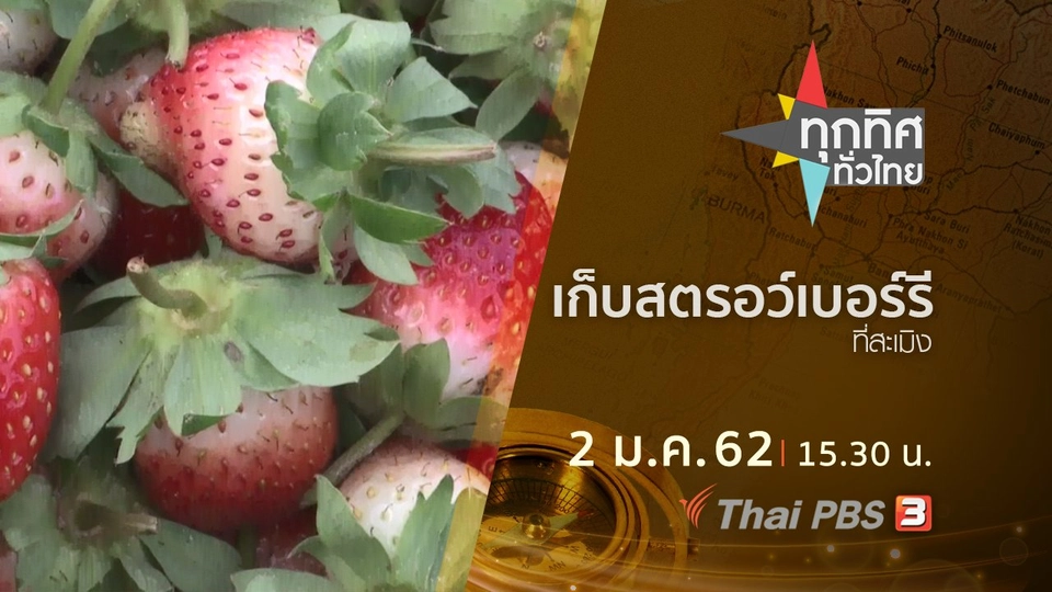 ประเด็นข่าว ( 2 ม.ค. 62 )