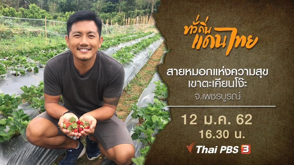 สายหมอกแห่งความสุข เขาตะเคียนโง๊ะ จ.เพชรบูรณ์