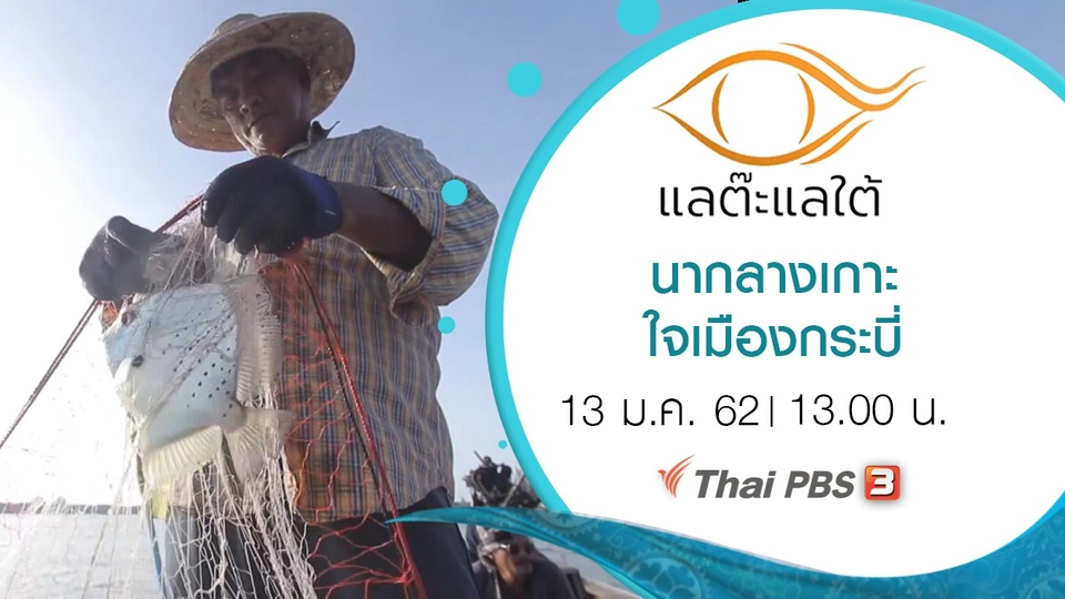 นากลางเกาะ ใจเมืองกระบี่