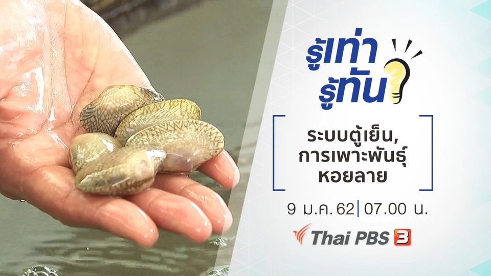 ความต่างของระบบตู้เย็นธรรมดา กับ Inverter, การเพาะพันธุ์หอยลาย