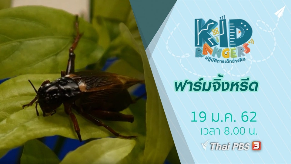 ฟาร์มจิ้งหรีด